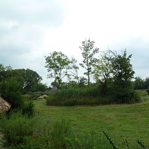 3-Acre African Elephant Exhibit