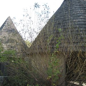 Africa-Huts