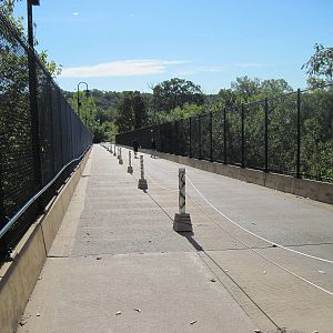 Africa-Bridge to Africa