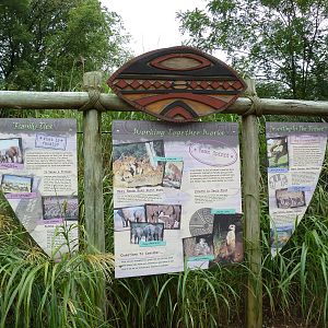 African Savannah - Sign