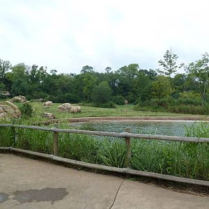 3-Acre African Elephant Exhibit