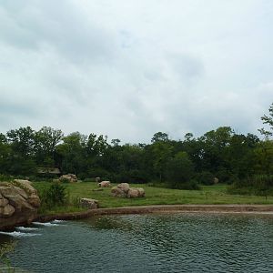 3-Acre African Elephant Exhibit
