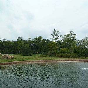 3-Acre African Elephant Exhibit