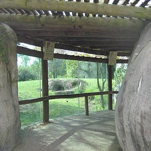 Africa-Cheetah Viewing Shelter
