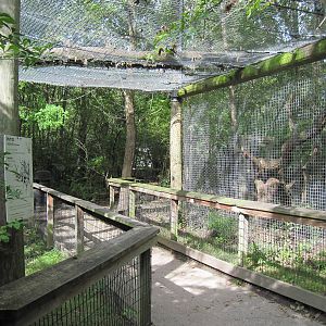 Africa-African Leopard Exhibit