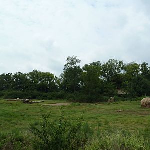 3-Acre African Elephant Exhibit
