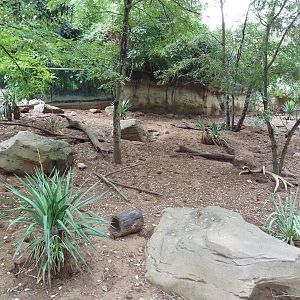 Meerkat Exhibit