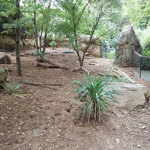 Meerkat Exhibit