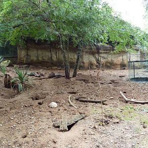 Meerkat Exhibit