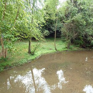 Saddle-Billed Stork Exhibit