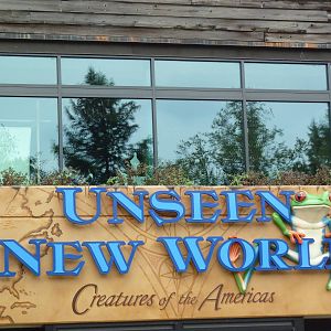 Unseen New World
