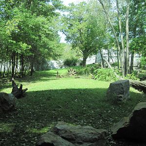 Africa-Western Gorilla Exhibit