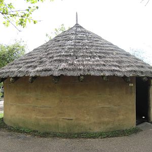 Africa-Bomas Hut