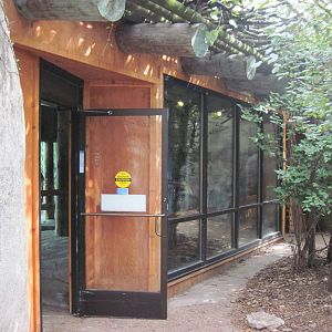 Africa-African Lion Viewing Building