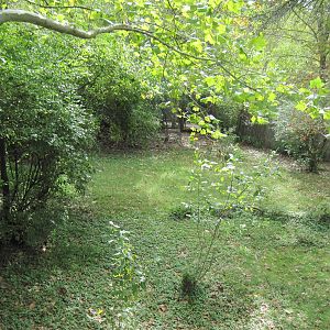 Africa-Kori Bustard Exhibit