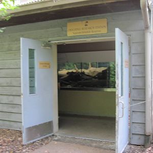 Africa-Crocodile Reseach Station