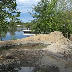 Africa-Nile Hippopotamus Exhibit