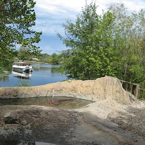 Africa-Nile Hippopotamus Exhibit