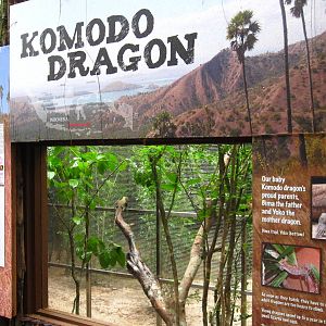 Reptile Garden - Dragon Nursery