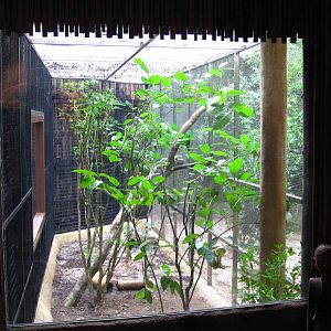 Reptile Garden - Dragon Nursery