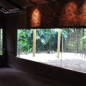 Reptile Garden - Komodo Dragon exhibit