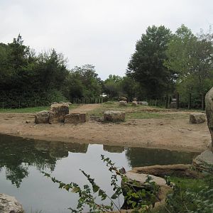 Africa-African Elephant Exhibit