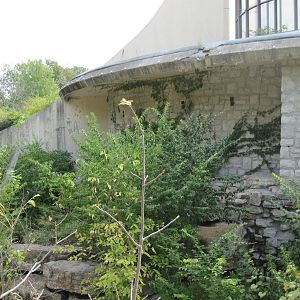 Abandoned Great Ape House