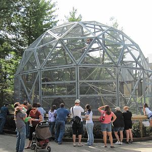 Tiger Trail-Orangutan Exhibit