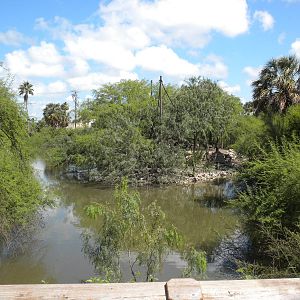 Resaca and Spider Monkey Island