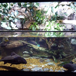 Unseen New World - Amazon River Region