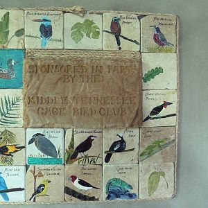 Unseen New World - Walk-Through Bird Aviary