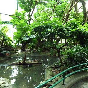 Unseen New World - Walk-Through Bird Aviary