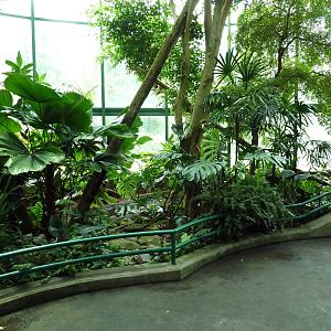 Unseen New World - Walk-Through Bird Aviary