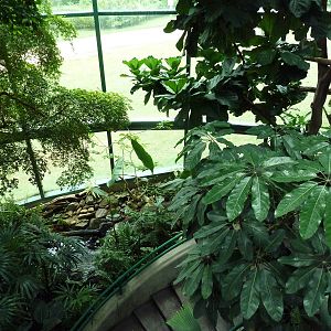 Unseen New World - Walk-Through Bird Aviary