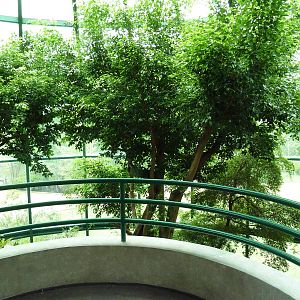 Unseen New World - Walk-Through Bird Aviary