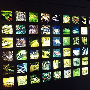 Unseen New World - Signage