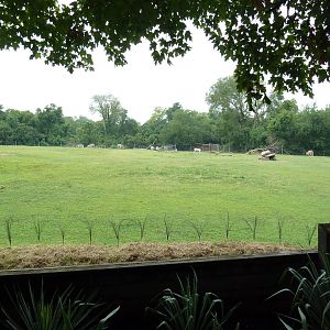 Eland/Ostrich/Damara Zebra Exhibit