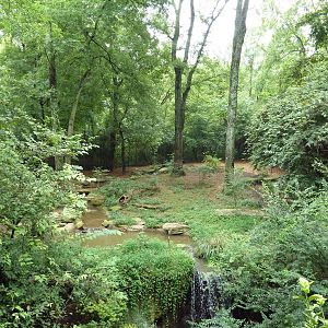 Bengal Tiger Exhibit