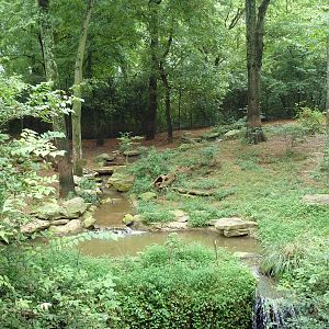 Bengal Tiger Exhibit