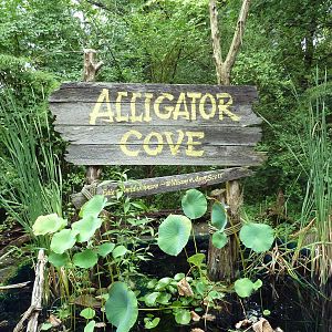 Alligator Cove - Sign