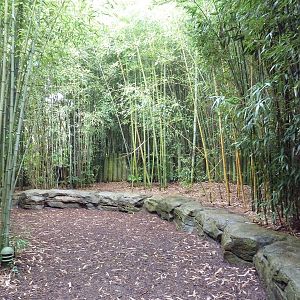 Bamboo Trail