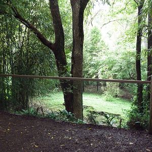 Bamboo Trail - Cassowary Exhibit