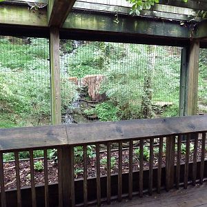 Bamboo Trail - Cougar Exhibit
