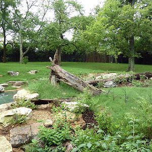 Bamboo Trail - Baird's Tapir Exhibit