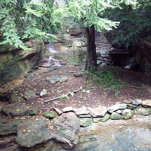 Bamboo Trail - African Crested Porcupine Exhibit