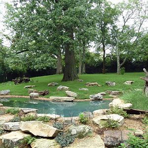 Bamboo Trail - Baird's Tapir Exhibit