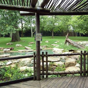 Bamboo Trail - Baird's Tapir Exhibit