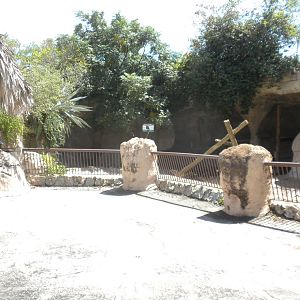 Sun Bear exhibit