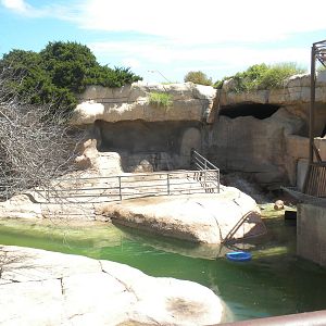 Sea Lion exhibit