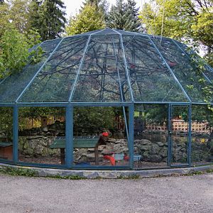 Cage of Scarlet Ibises and waterfowls
